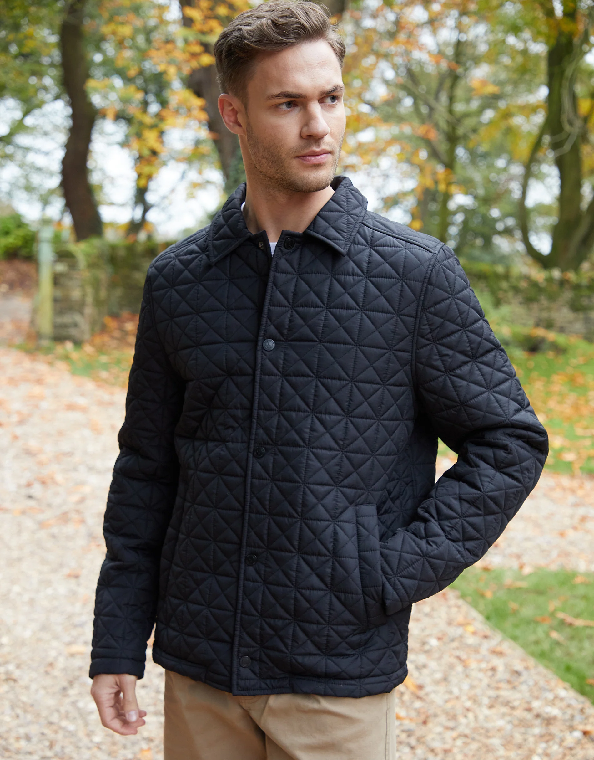 Collared Quilted Jacket in Black - Image 5