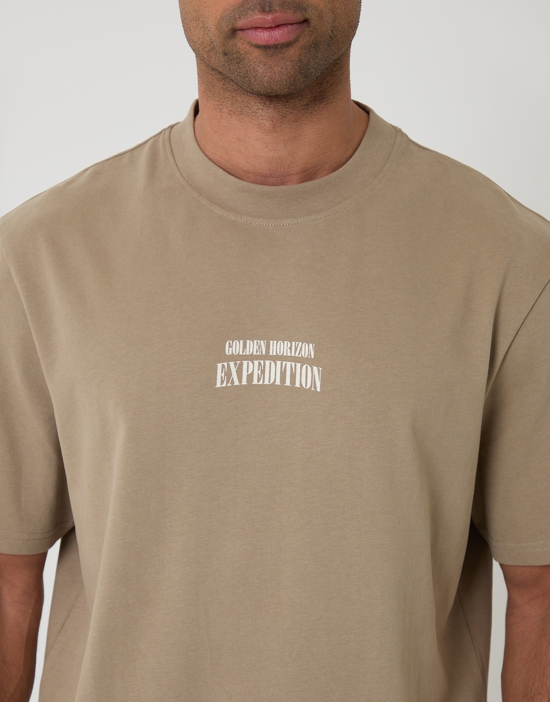 Relaxed Fit Expedition Peached Cotton T-Shirt in Brown - Image 4