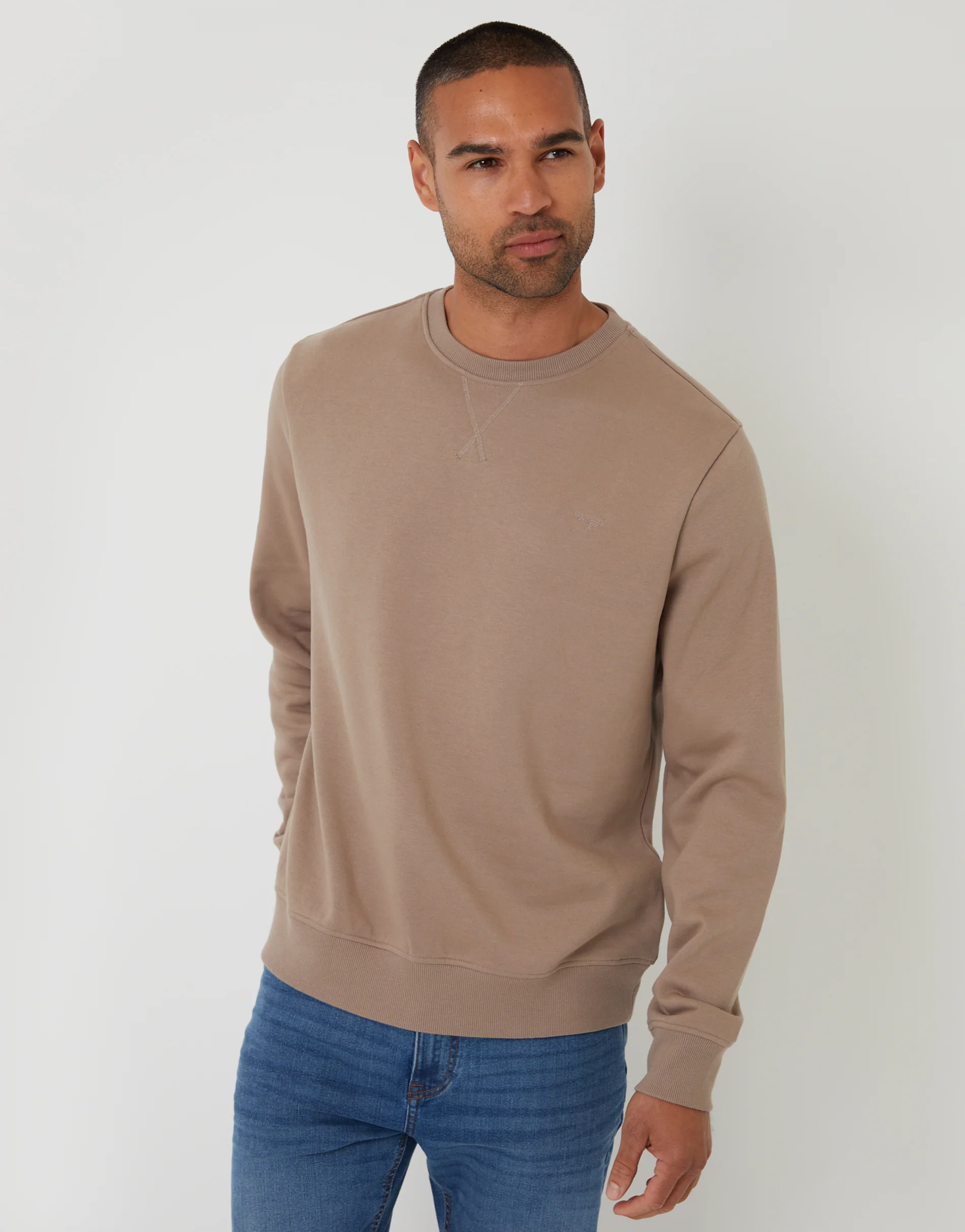 Crew Neck Sweatshirt in Taupe